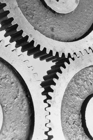 Photographic Print, , small