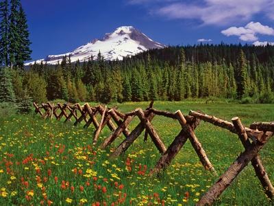 Photographic Print, , small