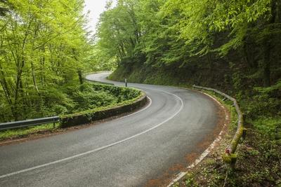 Photographic Print, , small