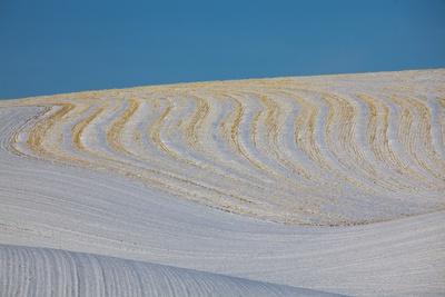 Photographic Print, , small