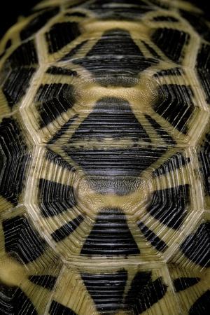 Photographic Print, , small