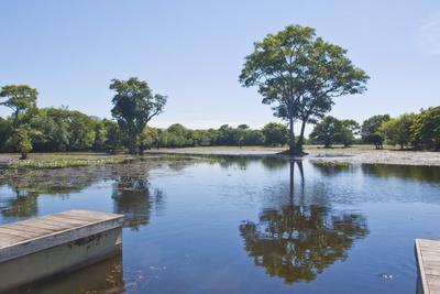 Photographic Print, , small