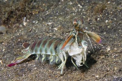 Photographic Print, , small