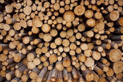 Photographic Print, , small