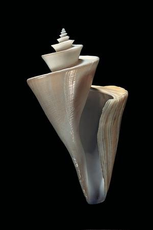 Photographic Print, , small