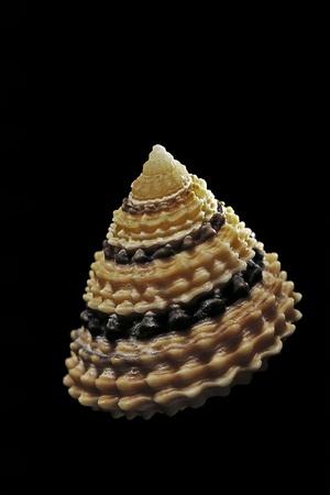 Photographic Print, , small