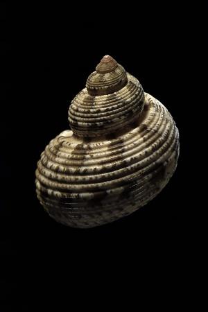 Photographic Print, , small