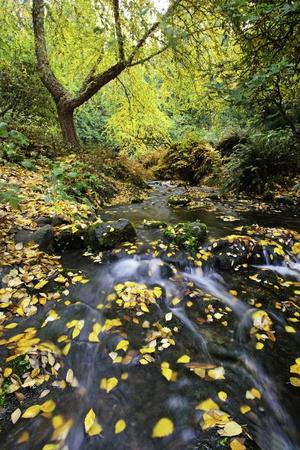Photographic Print, , small
