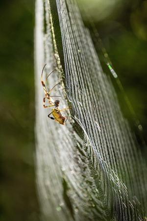 Photographic Print, , small