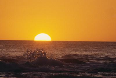 Photographic Print, , small