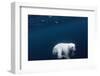 Underwater Polar Bear near Frozen Strait, Nunavut, Canada-Paul Souders-Framed Photographic Print