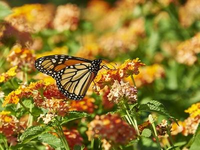 Photographic Print, , small