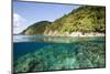 Coast of Dominica above and below Water-Reinhard Dirscherl-Mounted Photographic Print