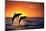 Bottlenosed Dolphins Leaping at Sunset-DLILLC-Mounted Photographic Print