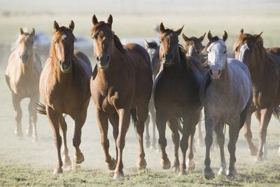 Photographic Print, , small