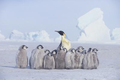 Photographic Print, , small