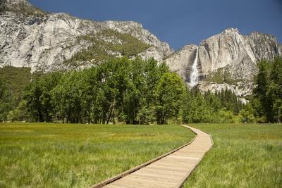 Photographic Print, , small