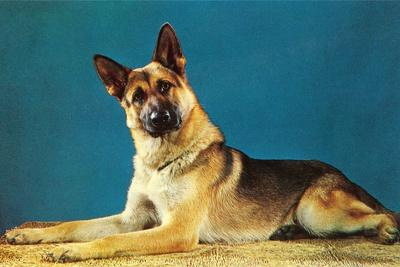 Photographic Print, , small