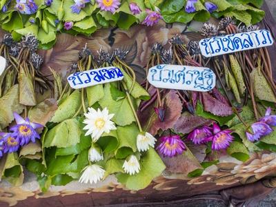 Photographic Print, , small