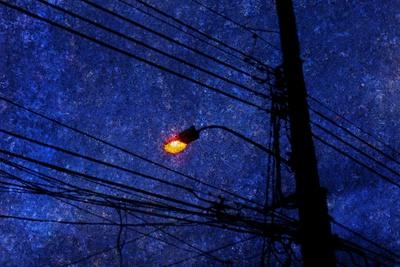 Photographic Print, , small
