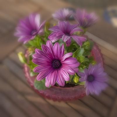 Photographic Print, , small