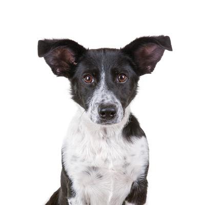 Photographic Print, , small