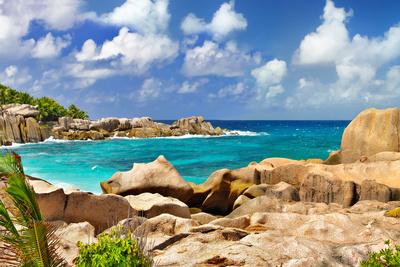 Photographic Print, , small