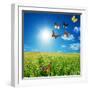 Butterfly Spring Field. A Group O Colorful Butterflies In The Spring Summer Grass Land-Michal Bednarek-Framed Photographic Print