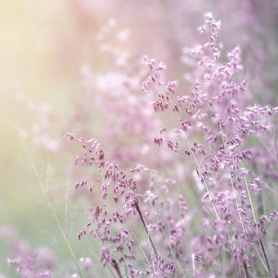 Photographic Print, , small