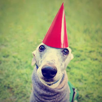 Photographic Print, , small