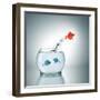 A Fishbowl With A Red Fish Jumping Out Of The Water-magann-Framed Photographic Print