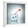 A Fishbowl With A Red Fish Jumping Out Of The Water-magann-Framed Photographic Print