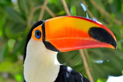 Photographic Print, , small