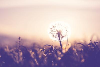 Photographic Print, , small