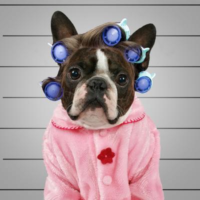 Photographic Print, , small