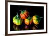 Colorful Eggplant Vegetable on Black Background-pritsadee-Framed Photographic Print