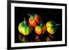 Colorful Eggplant Vegetable on Black Background-pritsadee-Framed Photographic Print