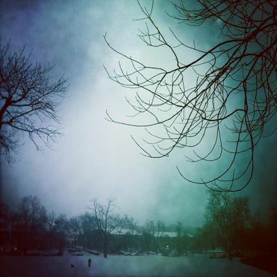 Photographic Print, , small