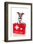 First Aid Dog-Javier Brosch-Framed Photographic Print