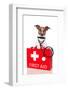 First Aid Dog-Javier Brosch-Framed Photographic Print