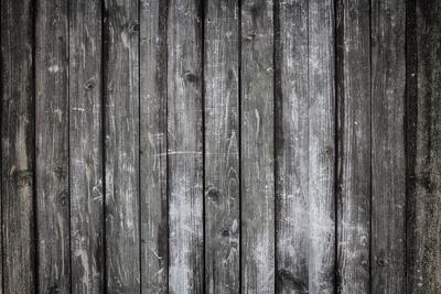 Photographic Print, , small