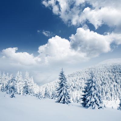 Photographic Print, , small