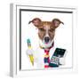 Secretary Dog-Javier Brosch-Framed Photographic Print