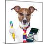 Secretary Dog-Javier Brosch-Mounted Photographic Print