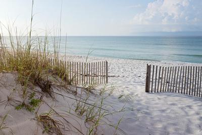 Photographic Print, , small