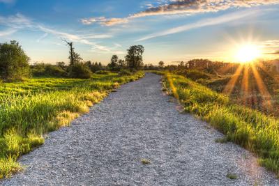 Photographic Print, , small