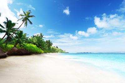 Photographic Print, , small