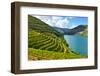 Terrace-gkuna-Framed Photographic Print