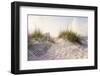 Peaceful Morning in the Beach Sand Dunes-forestpath-Framed Photographic Print