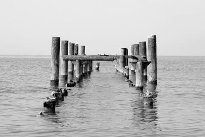 Photographic Print, , small